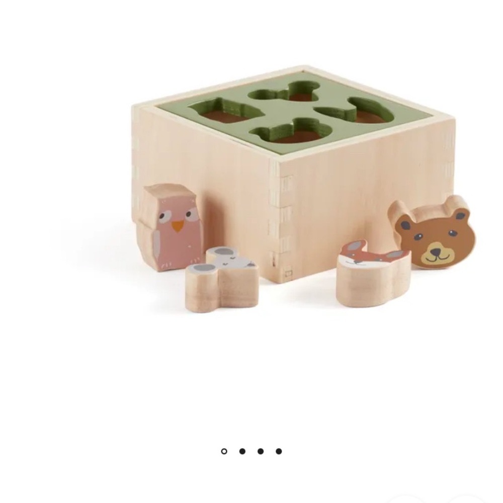 Wooden Animal Shape Sorter Toy